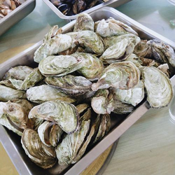 男人把女人捅爽应用界面展示